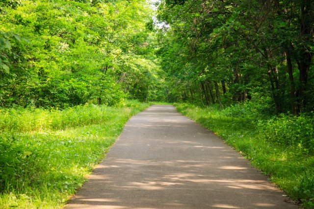 Trail in Wild River State Park